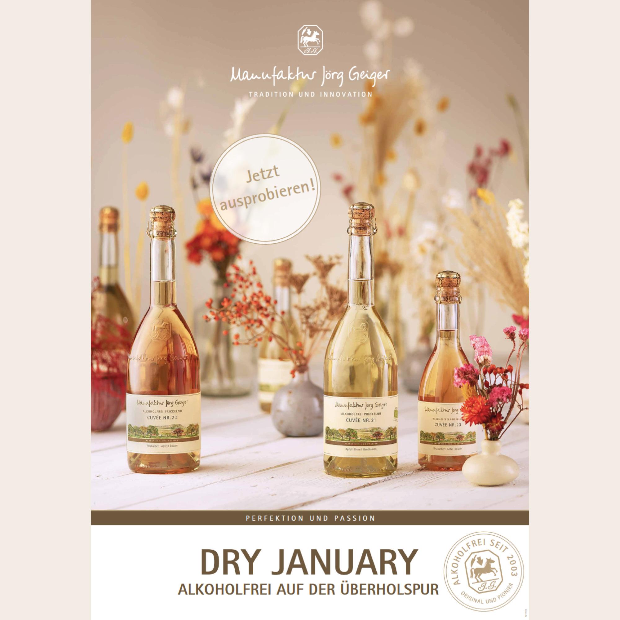 Plakat Dry January DIN A 3, 2-seitig